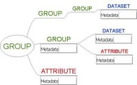 An example HDF5 file structure which contains groups, datasets and associated metadata
